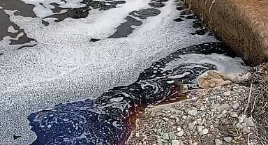 Yalova açıklarında deniz yüzeyi kırmızıya boyandı