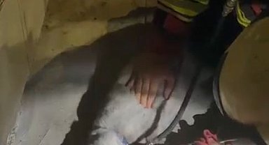 Yangında kurtarılan kediye oksijen desteği ve kalp masajı