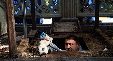 Yer altı çöp konteynerinin altına düşen yavru kediyi ekipler kurtardı