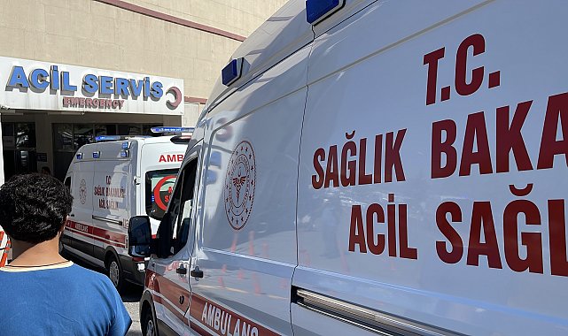 Yıldırımın isabet ettiği çoban ağır yaralandı