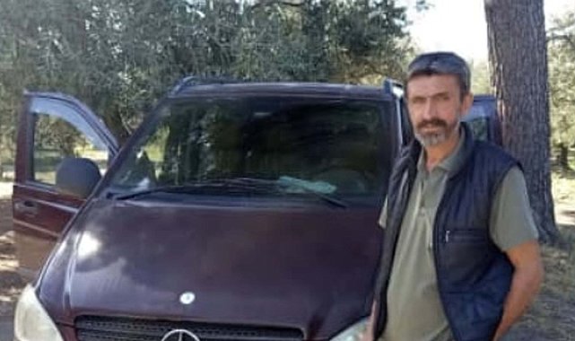 Zeytin toplarken arı soktu, hayatını kaybetti