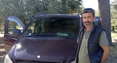Zeytin toplarken arı soktu, hayatını kaybetti