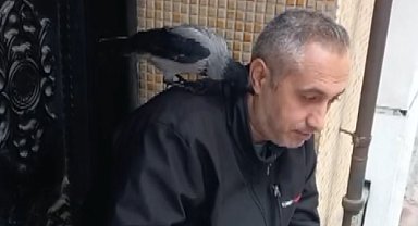 Zeytinburnu'nda esnafla karga Rıfkı arasında sıra dışı bağ: Her sabah kapıda beni bekliyor