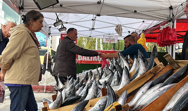 Zonguldak'ta 1 ayda bin ton balık yakalandı