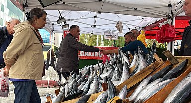 Zonguldak'ta 1 ayda bin ton balık yakalandı
