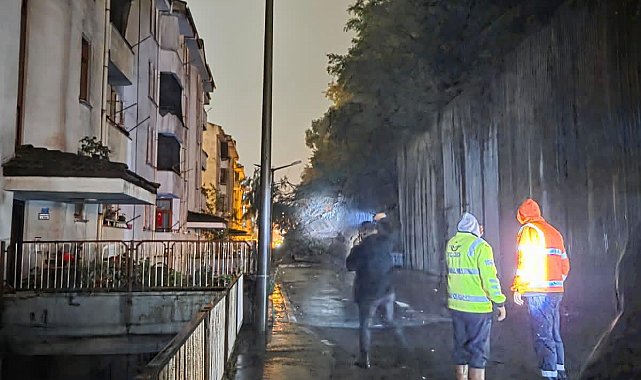 Zonguldak'ta istinat duvarı çöktü: 3 araç hasar gördü