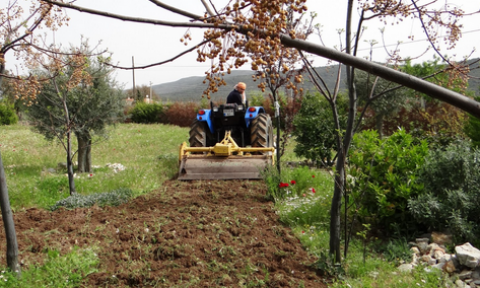 Bahçelerde Kış Bakımı Nasıl Yapılır?