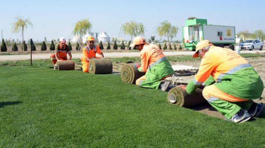 Konya Büyükşehir Belediyesi, çimi kendisi üretiyor