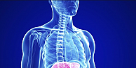 Karaciğer Yağlanması, belirtileri ve tedavisi