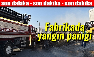 Fabrikada Yangın Paniği