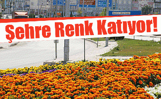 Şehre Renk Katıyor!