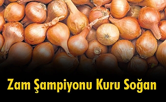 Zam Şampiyonu Kuru Soğan