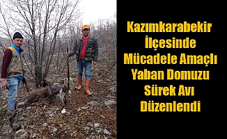 Kazımkarabekir İlçesinde Mücadele Amaçlı Yaban Domuzu Sürek Avı Düzenlendi