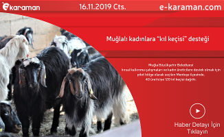 Muğlalı kadınlara “kıl keçisi” desteği...