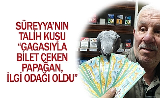 PAPAĞAN, İLGİ ODAĞI OLDU