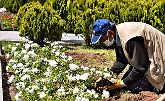 AKSARAY BELEDİYESİ ŞEHRİ ÇİÇEKLERLE SÜSLÜYOR