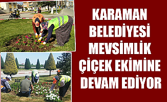 KARAMAN BELEDİYESİ MEVSİMLİK ÇİÇEK EKİMİNE DEVAM EDİYOR