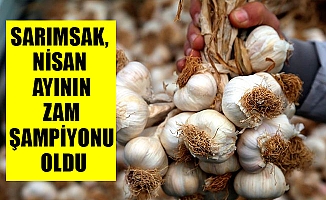 SARIMSAK, NİSAN AYININ ZAM ŞAMPİYONU OLDU