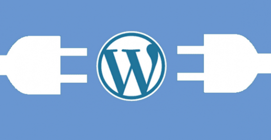 Wordpress Nasıl Kurulur?