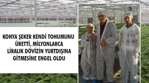 KONYA ŞEKER KENDİ TOHUMUNU ÜRETTİ, MİLYONLARCA LİRALIK DÖVİZİN YURTDIŞINA GİTMESİNE ENGEL OLDU