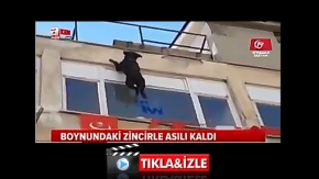 BOYNUNDAKİ ZİNCİRLE ASILI KALDI