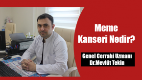 Meme Kanseri Nedir?